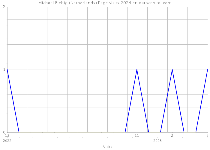Michael Fiebig (Netherlands) Page visits 2024 
