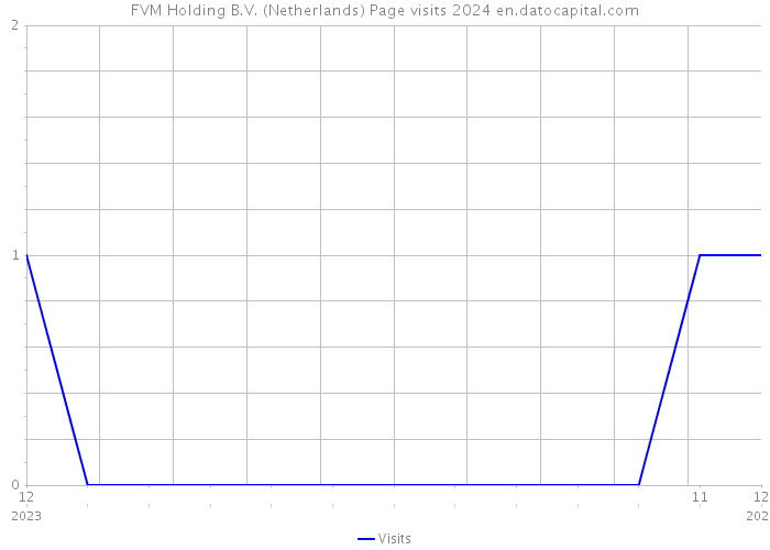FVM Holding B.V. (Netherlands) Page visits 2024 