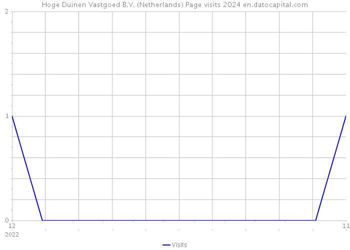 Hoge Duinen Vastgoed B.V. (Netherlands) Page visits 2024 