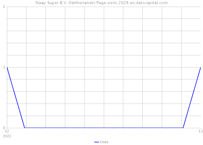 Slaap Super B.V. (Netherlands) Page visits 2024 