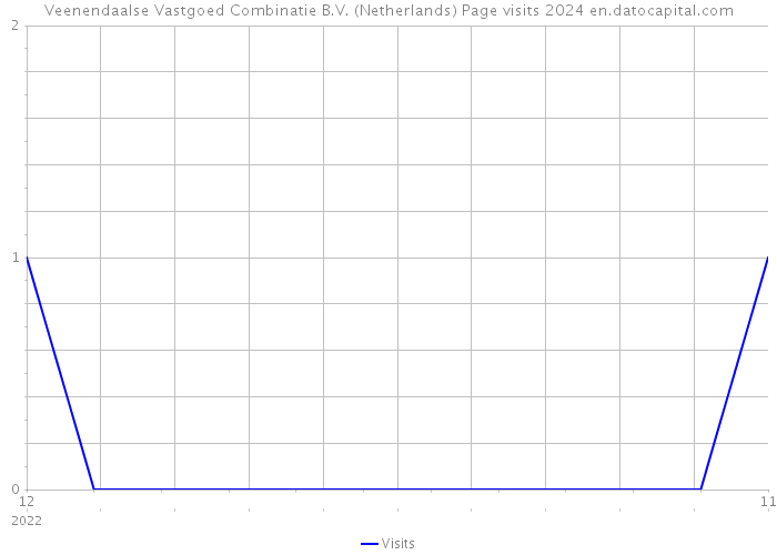 Veenendaalse Vastgoed Combinatie B.V. (Netherlands) Page visits 2024 