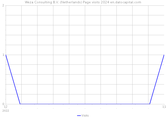 Weza Consulting B.V. (Netherlands) Page visits 2024 