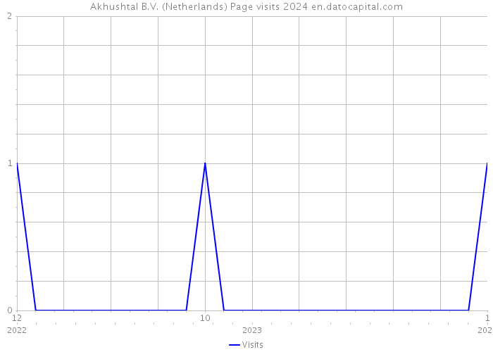 Akhushtal B.V. (Netherlands) Page visits 2024 