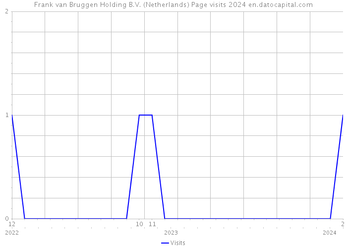 Frank van Bruggen Holding B.V. (Netherlands) Page visits 2024 