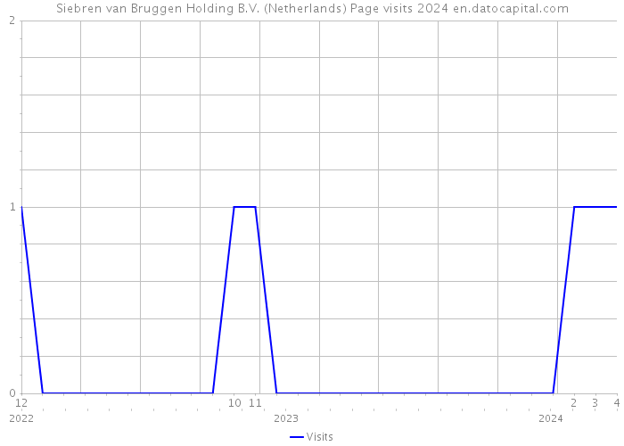Siebren van Bruggen Holding B.V. (Netherlands) Page visits 2024 