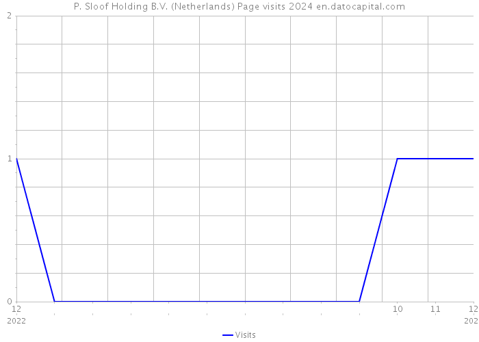 P. Sloof Holding B.V. (Netherlands) Page visits 2024 