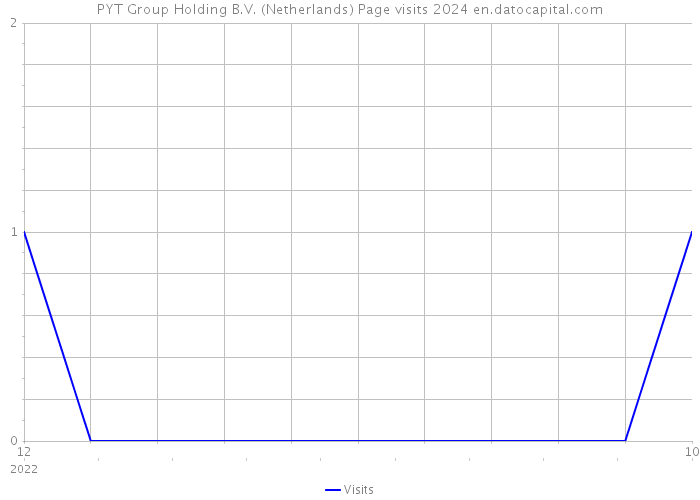 PYT Group Holding B.V. (Netherlands) Page visits 2024 