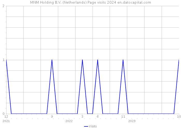 MNM Holding B.V. (Netherlands) Page visits 2024 