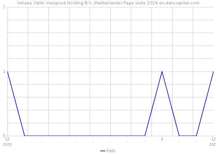 Veluwe Vallei Vastgoed Holding B.V. (Netherlands) Page visits 2024 