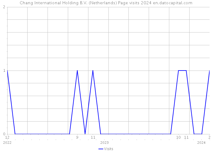 Chang International Holding B.V. (Netherlands) Page visits 2024 