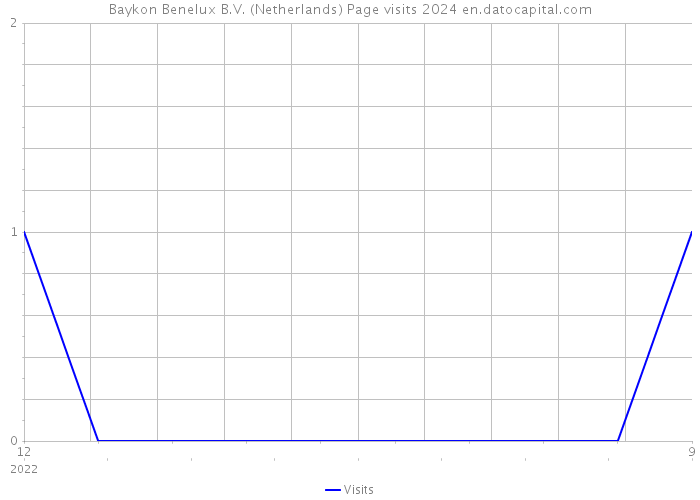 Baykon Benelux B.V. (Netherlands) Page visits 2024 
