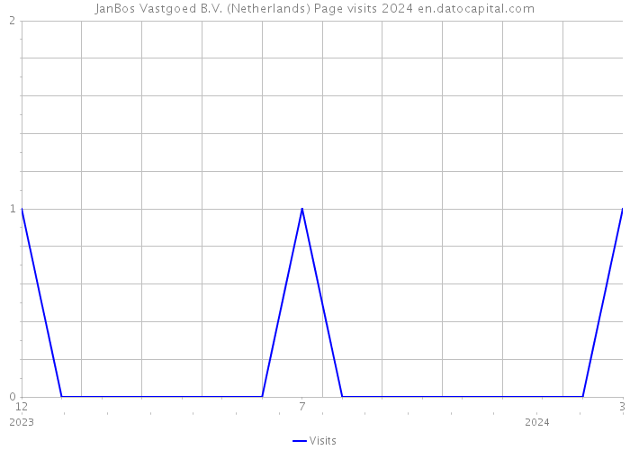 JanBos Vastgoed B.V. (Netherlands) Page visits 2024 