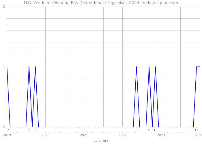 N.G. Veerkamp Holding B.V. (Netherlands) Page visits 2024 