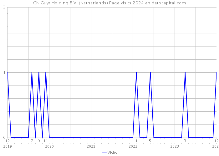 GN Guyt Holding B.V. (Netherlands) Page visits 2024 