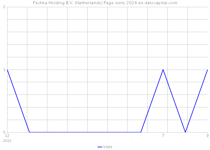 Fechka Holding B.V. (Netherlands) Page visits 2024 