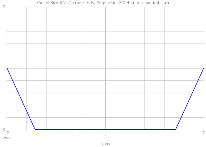 Ca'del Biro B.V. (Netherlands) Page visits 2024 
