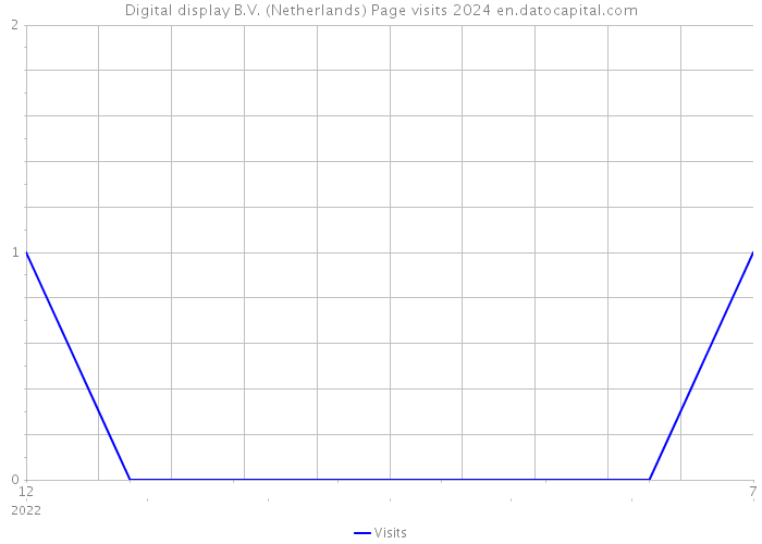 Digital display B.V. (Netherlands) Page visits 2024 