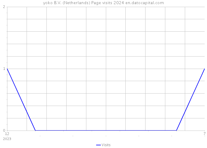 yoko B.V. (Netherlands) Page visits 2024 
