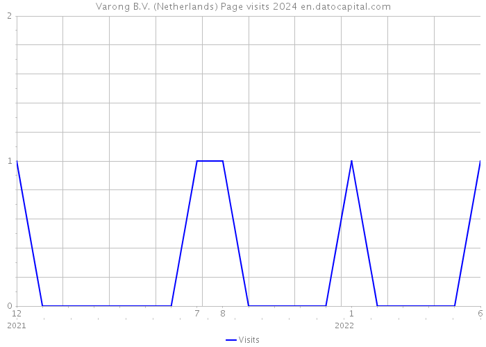 Varong B.V. (Netherlands) Page visits 2024 