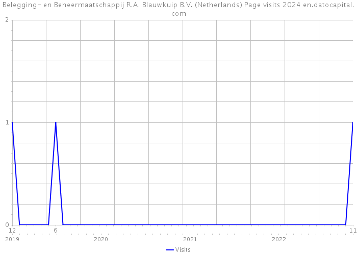 Belegging- en Beheermaatschappij R.A. Blauwkuip B.V. (Netherlands) Page visits 2024 