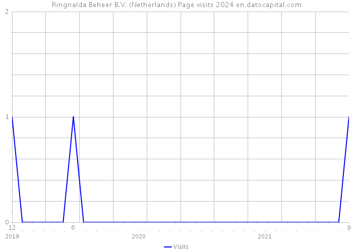 Ringnalda Beheer B.V. (Netherlands) Page visits 2024 
