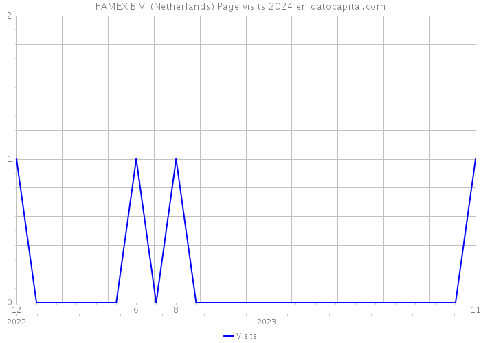 FAMEX B.V. (Netherlands) Page visits 2024 
