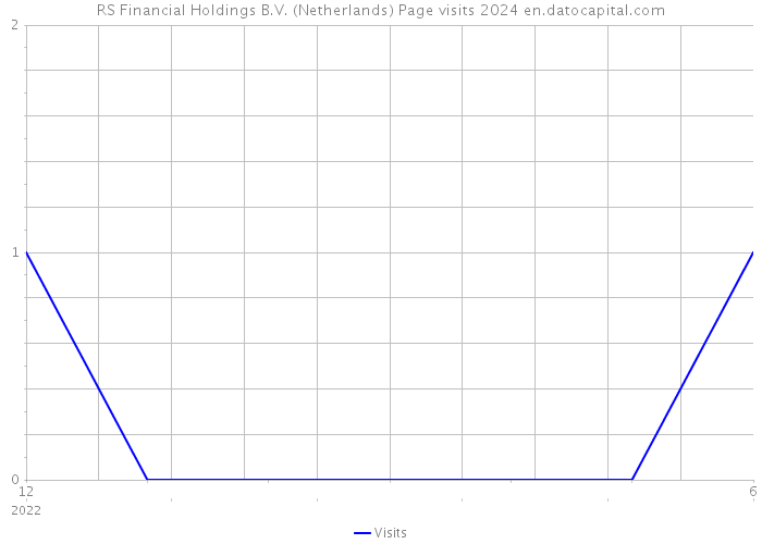 RS Financial Holdings B.V. (Netherlands) Page visits 2024 