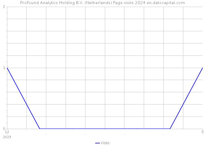 Profound Analytics Holding B.V. (Netherlands) Page visits 2024 