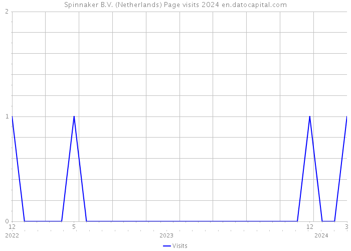 Spinnaker B.V. (Netherlands) Page visits 2024 