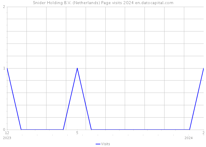 Snider Holding B.V. (Netherlands) Page visits 2024 