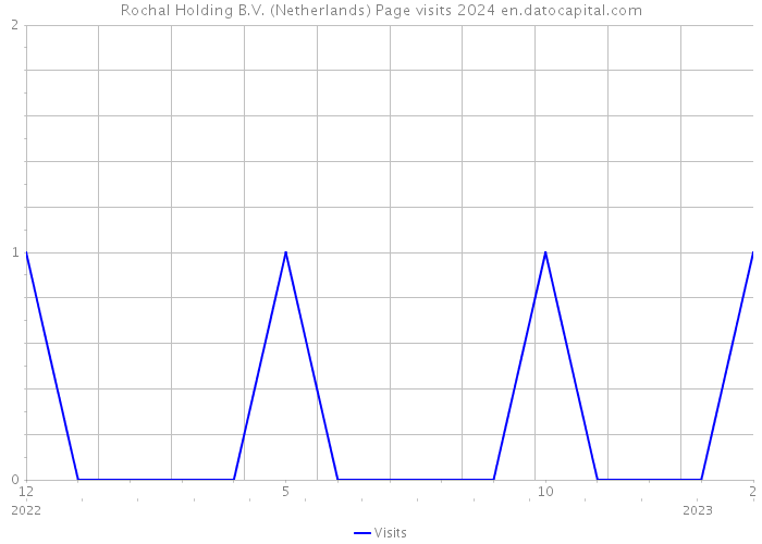 Rochal Holding B.V. (Netherlands) Page visits 2024 
