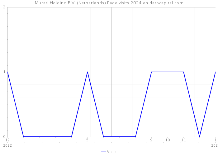 Murati Holding B.V. (Netherlands) Page visits 2024 