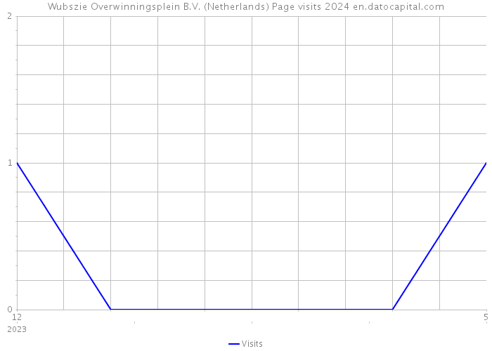 Wubszie Overwinningsplein B.V. (Netherlands) Page visits 2024 