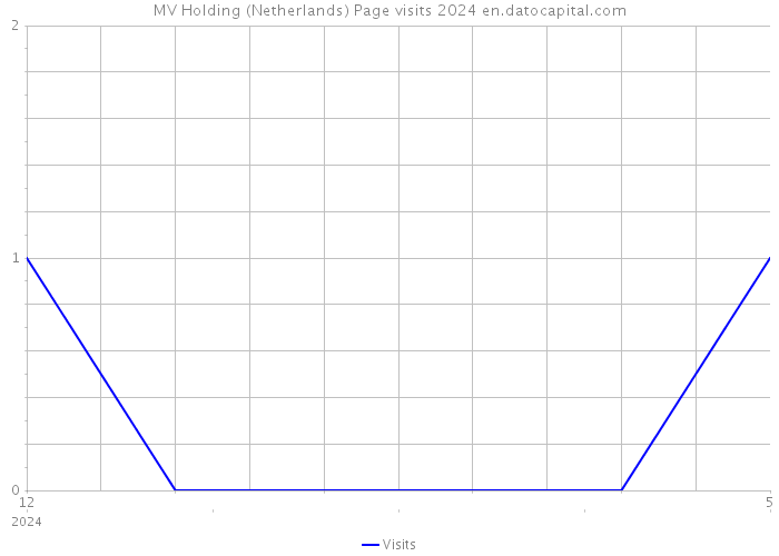 MV Holding (Netherlands) Page visits 2024 