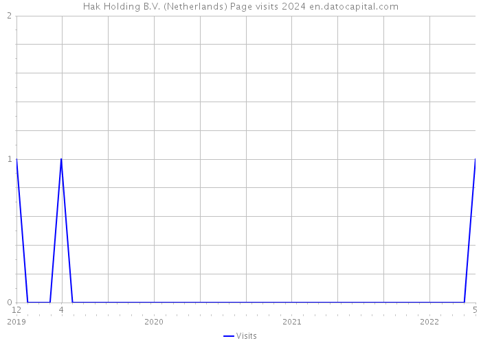 Hak Holding B.V. (Netherlands) Page visits 2024 