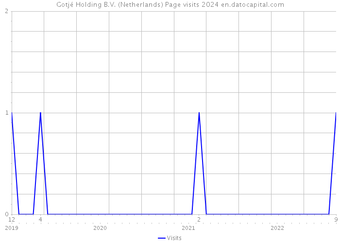 Gotjé Holding B.V. (Netherlands) Page visits 2024 