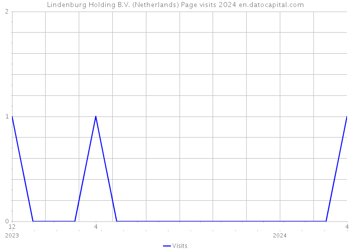 Lindenburg Holding B.V. (Netherlands) Page visits 2024 