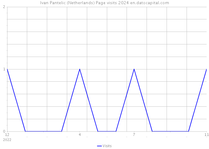 Ivan Pantelic (Netherlands) Page visits 2024 