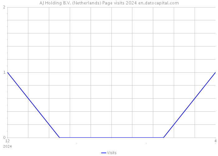 AJ Holding B.V. (Netherlands) Page visits 2024 