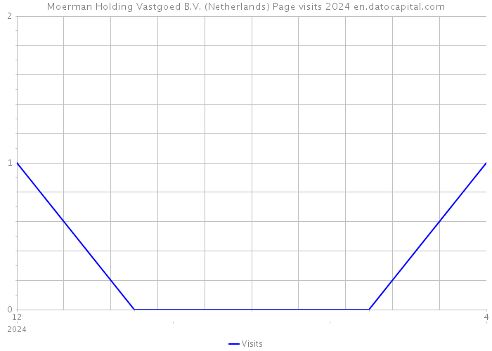 Moerman Holding Vastgoed B.V. (Netherlands) Page visits 2024 
