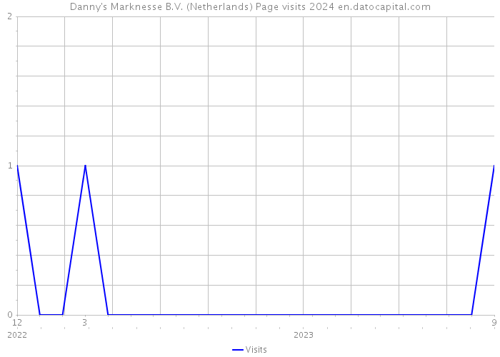 Danny's Marknesse B.V. (Netherlands) Page visits 2024 