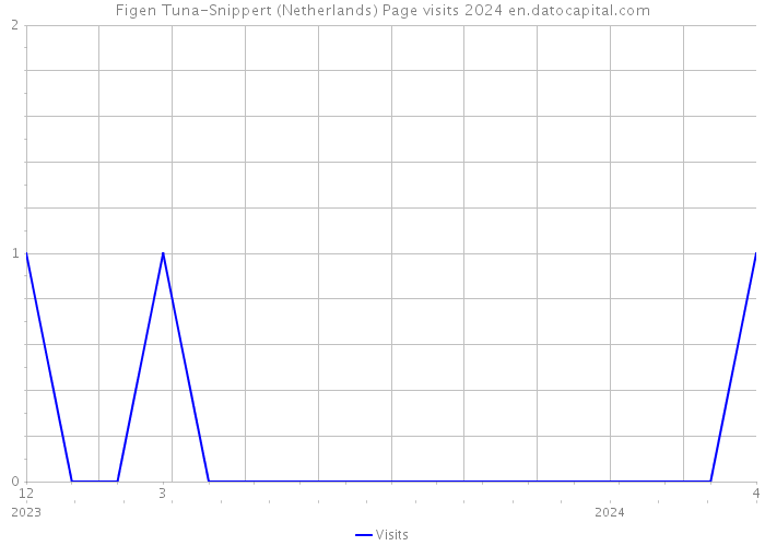 Figen Tuna-Snippert (Netherlands) Page visits 2024 
