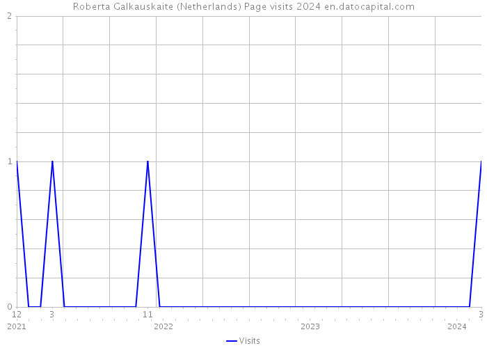 Roberta Galkauskaite (Netherlands) Page visits 2024 