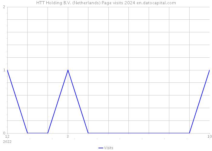 HTT Holding B.V. (Netherlands) Page visits 2024 