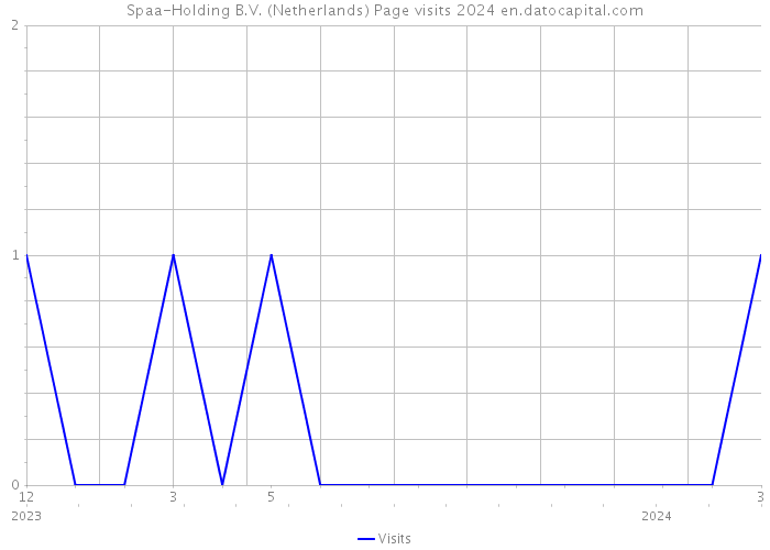 Spaa-Holding B.V. (Netherlands) Page visits 2024 