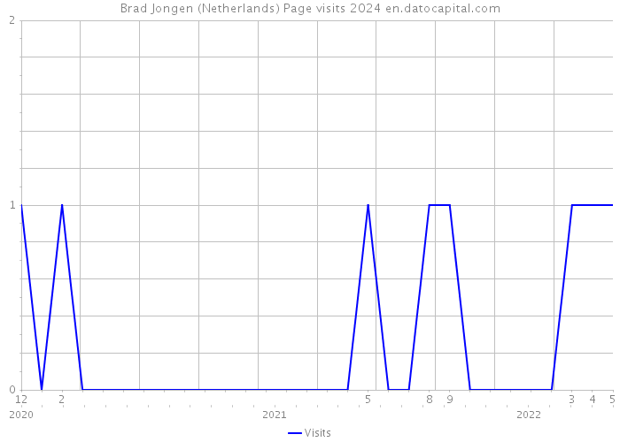 Brad Jongen (Netherlands) Page visits 2024 