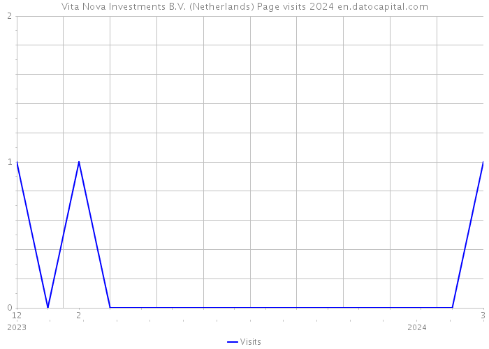 Vita Nova Investments B.V. (Netherlands) Page visits 2024 