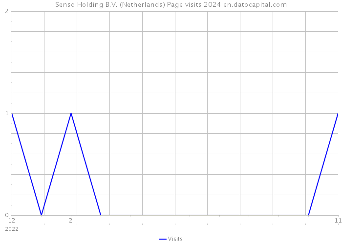 Senso Holding B.V. (Netherlands) Page visits 2024 