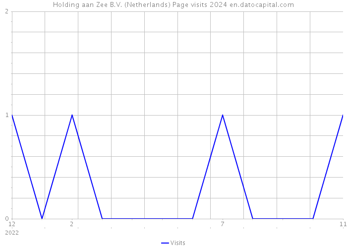 Holding aan Zee B.V. (Netherlands) Page visits 2024 