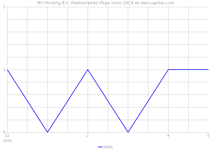 MV Holding B.V. (Netherlands) Page visits 2024 